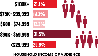 income-graphic